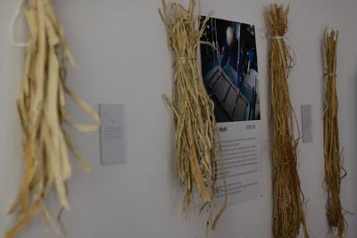 遇见和纸的无限可能 ZENA展览展现纸张艺术的奇妙世界